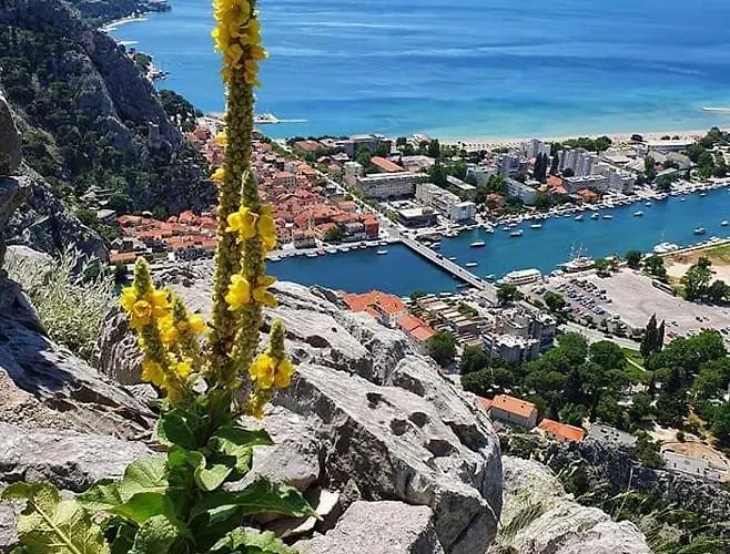 Amazing Sea View 奥米什