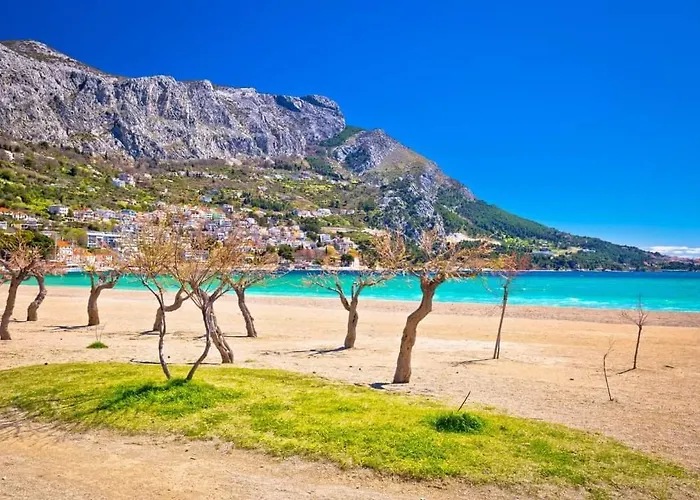 公寓 Amazing Sea View 奥米什