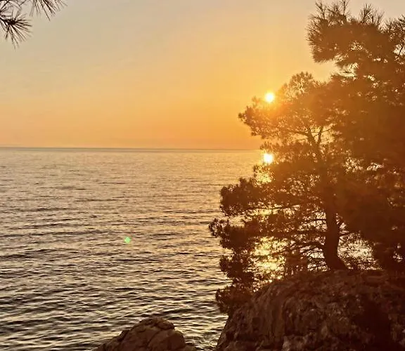 公寓 Amazing Sea View 奥米什